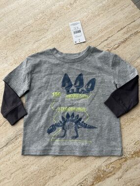 NEW 🆕 Gray Long-Sleeve Stegosaurus Graphic Tee 2T with tags